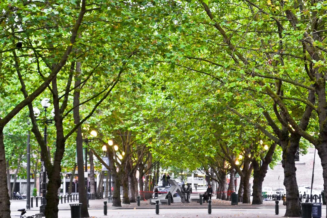 Occidental Square, Pioneer Square — photo 4