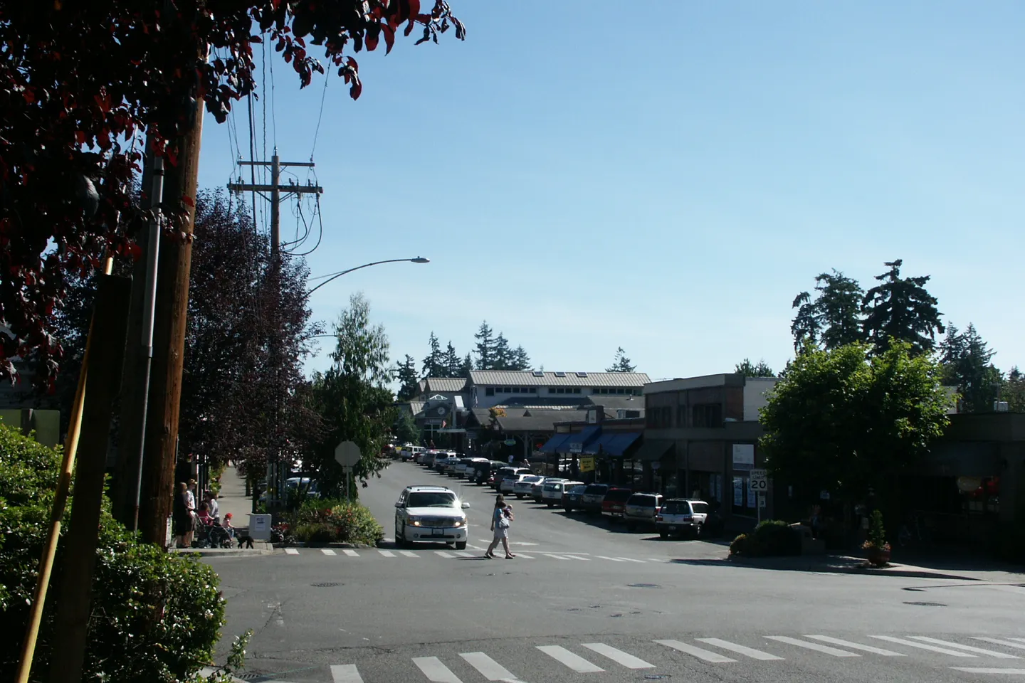 Bainbridge Island + Poulsbo — scene 10