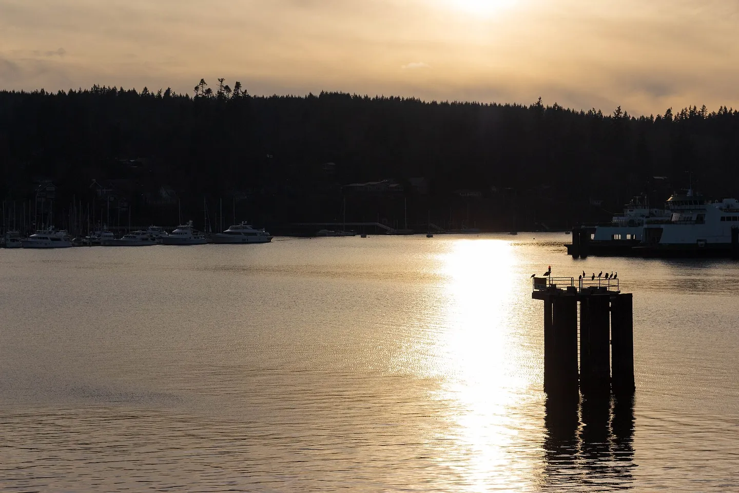 Bainbridge Island + Poulsbo — scene 2