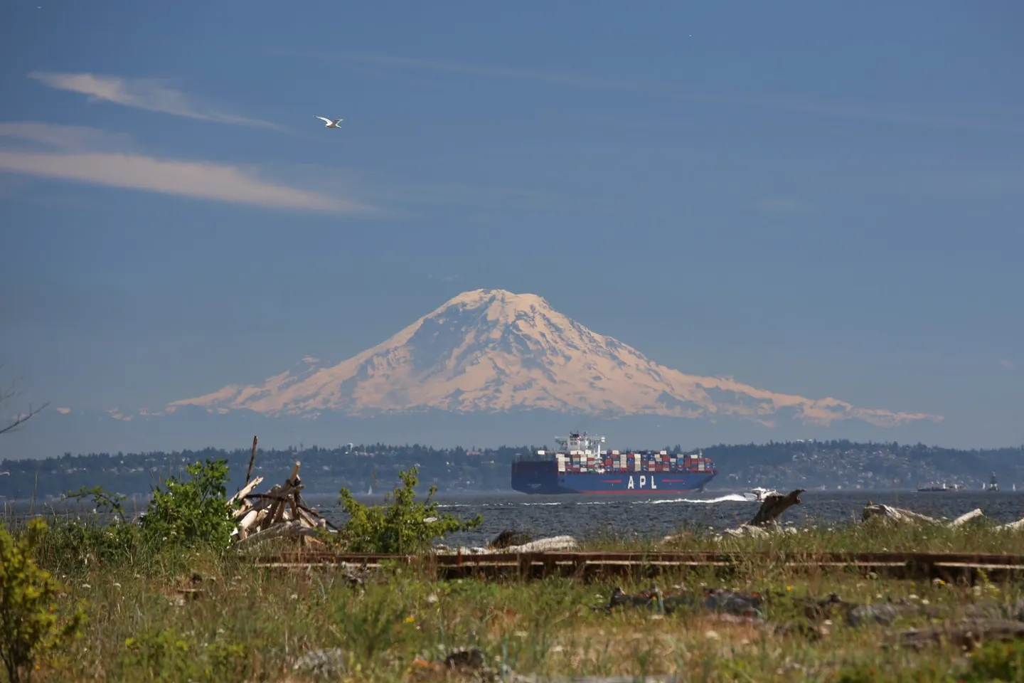 Bainbridge Island + Poulsbo — scene 4