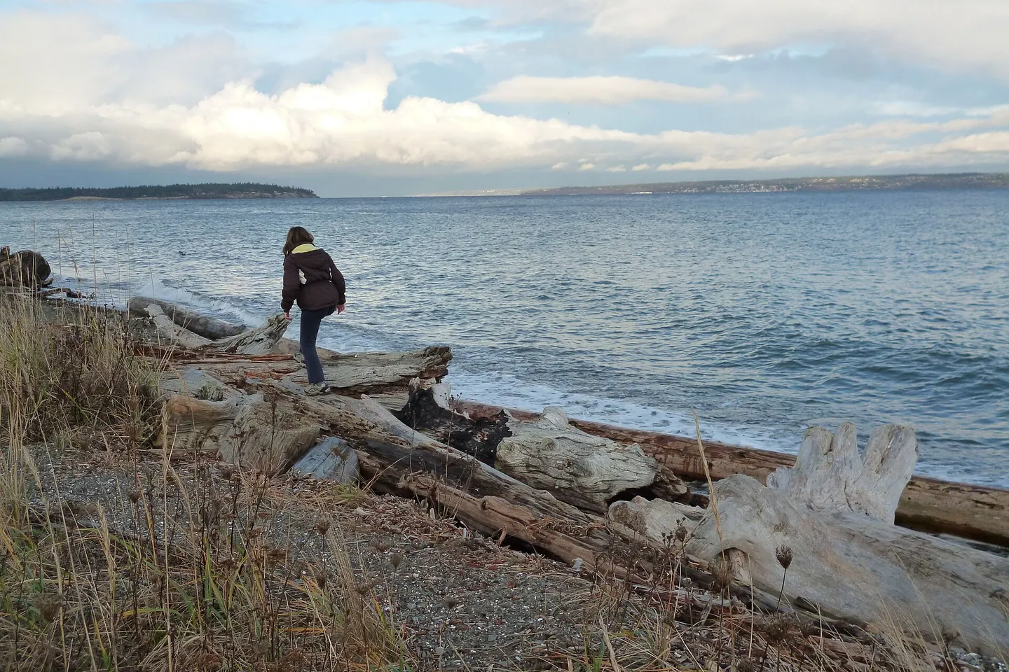 Bainbridge Island + Poulsbo — scene 5