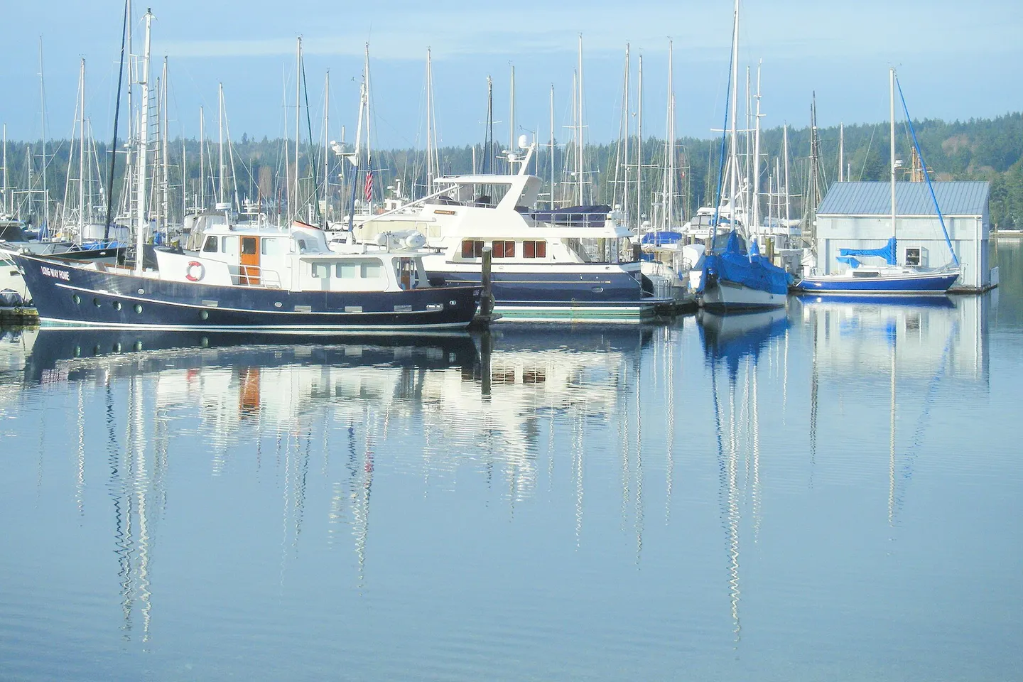 Bainbridge Island + Poulsbo — scene 6
