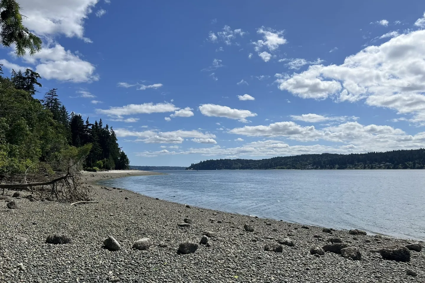 Bainbridge Island + Poulsbo — scene 8