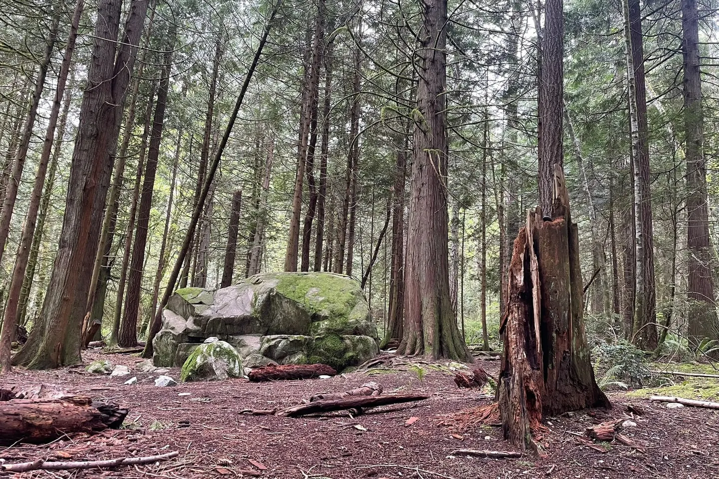 Bainbridge Island + Poulsbo — scene 9