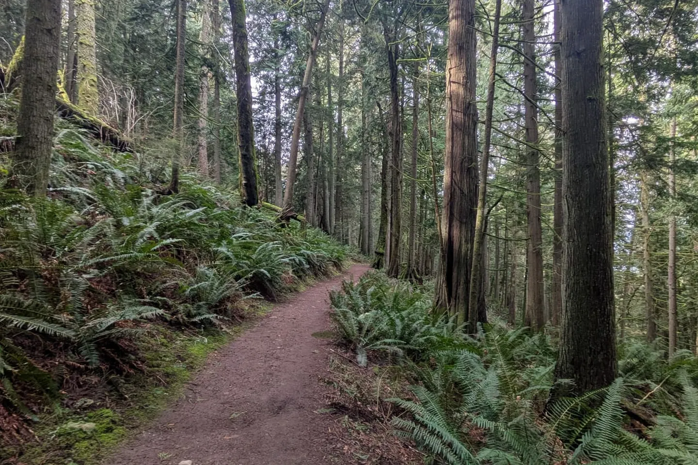 Chuckanut Drive — scene 10