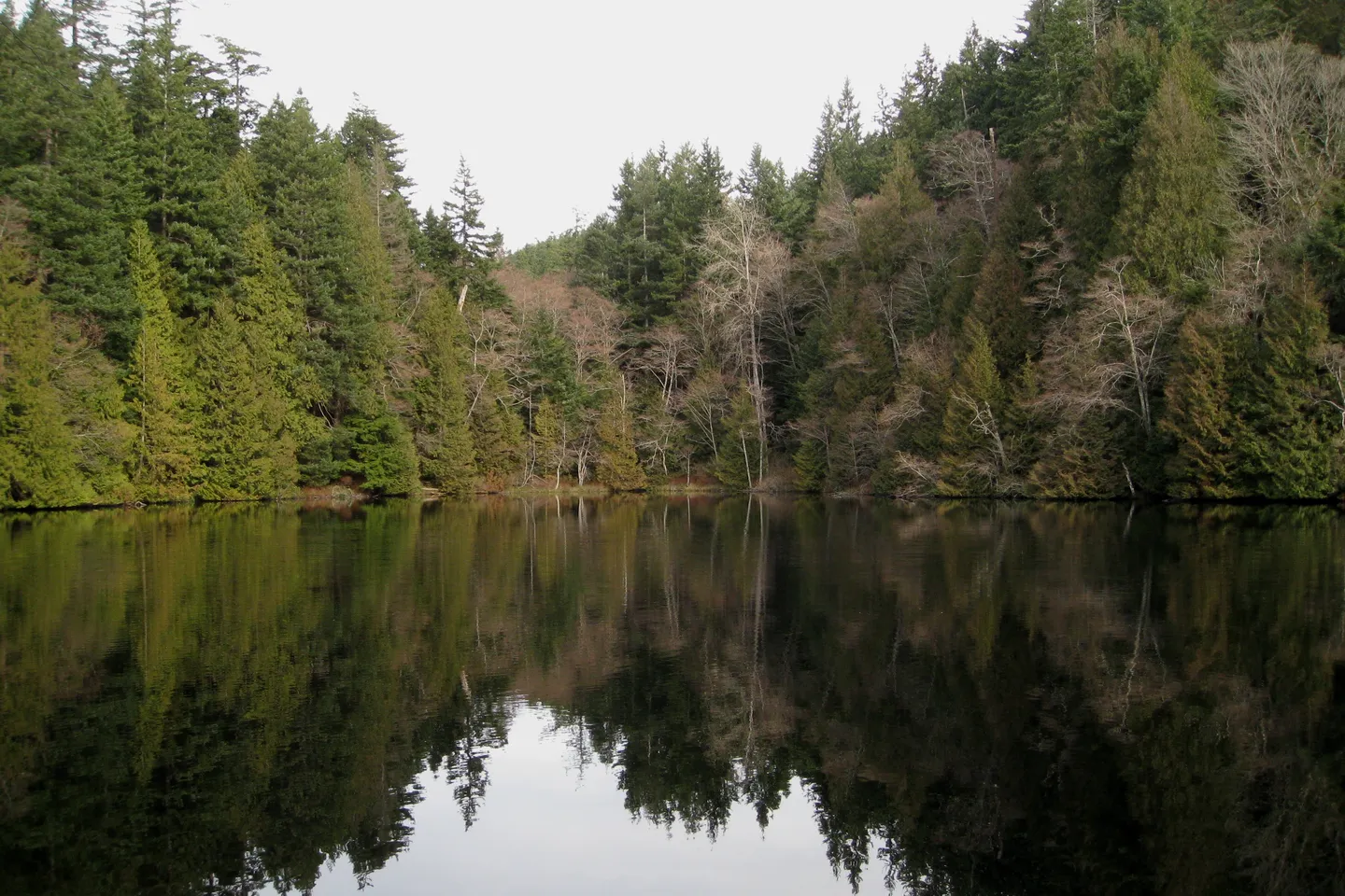 Chuckanut Drive — scene 3
