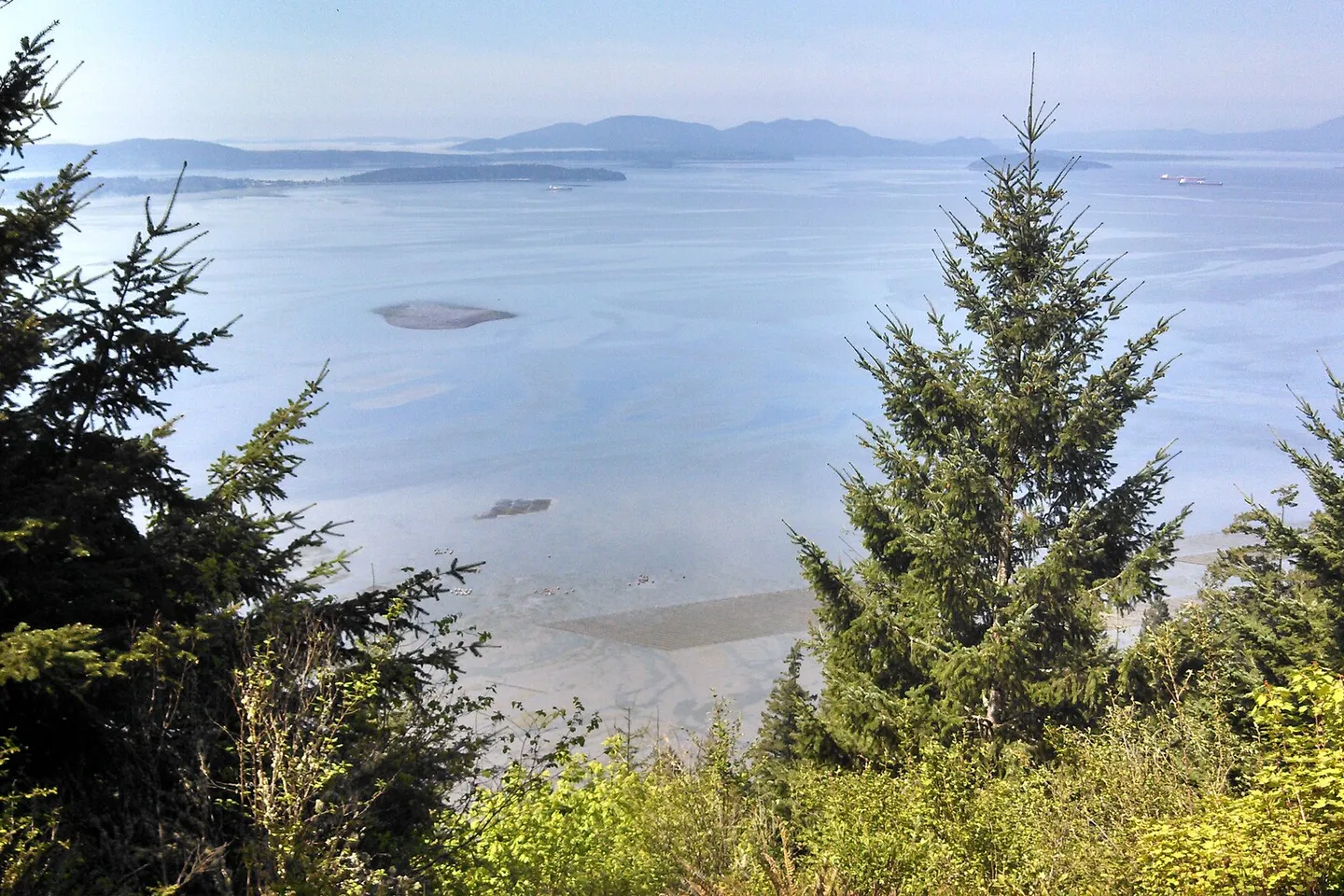 Chuckanut Drive — scene 4