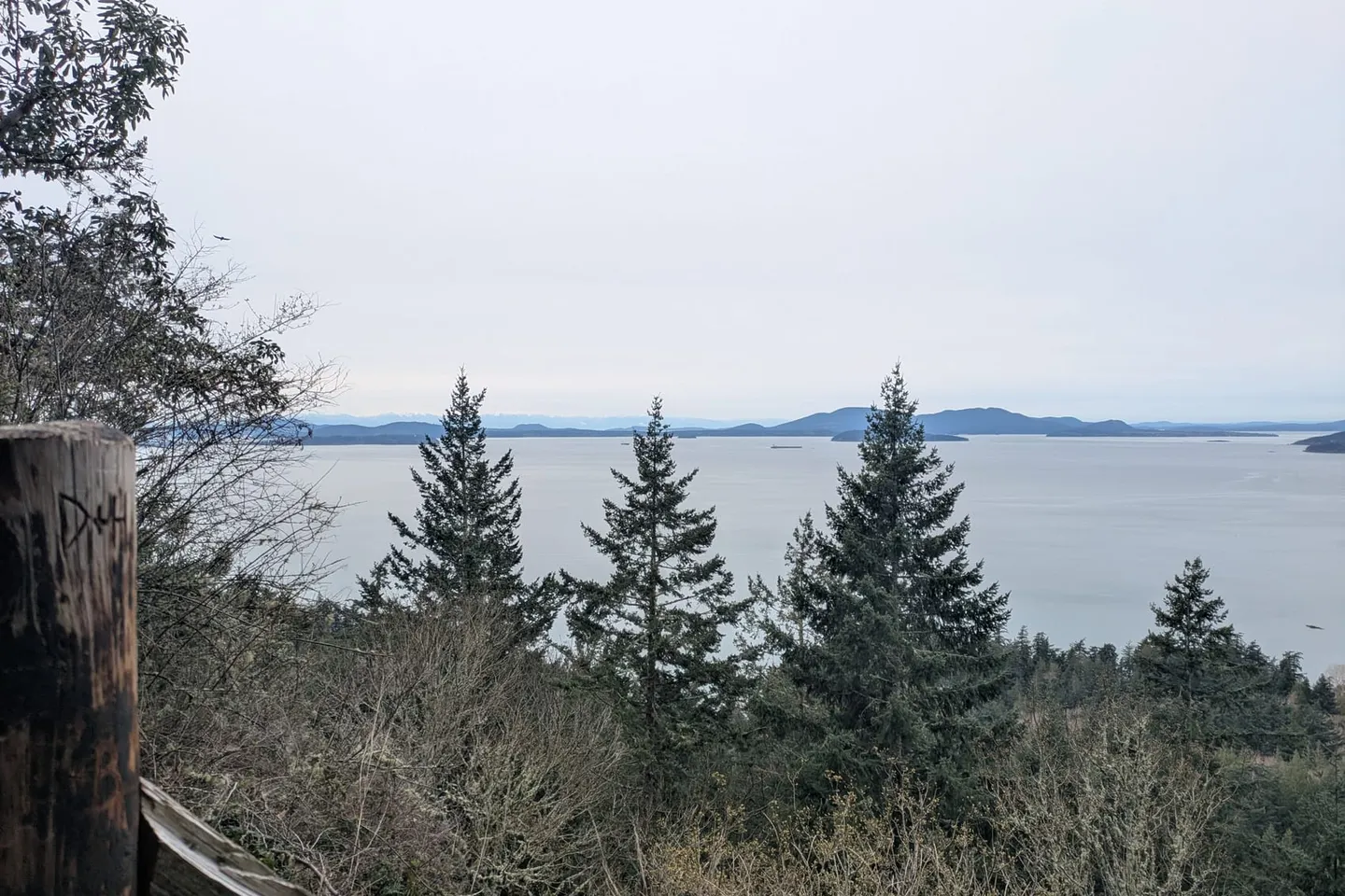 Chuckanut Drive — scene 5