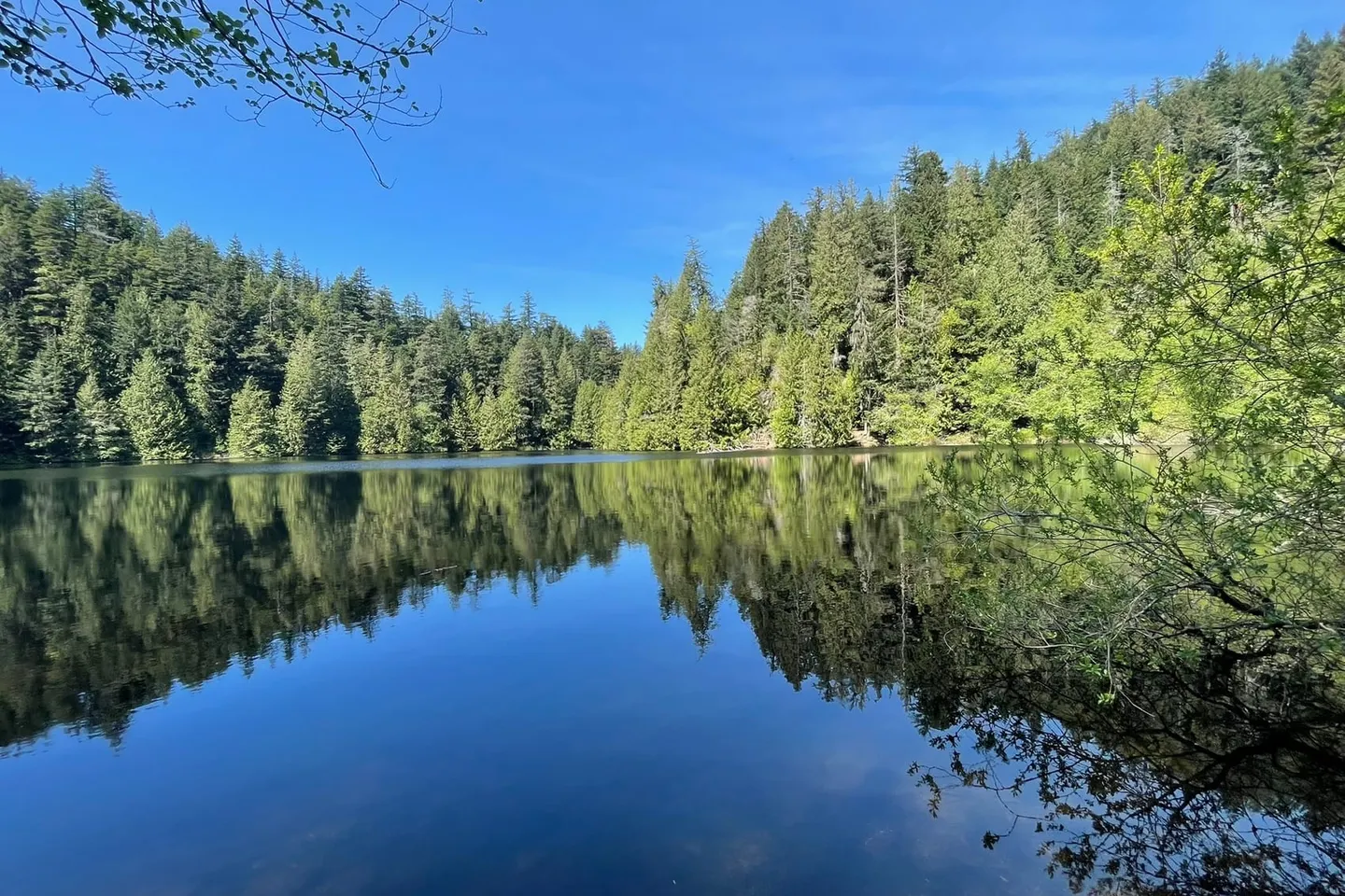 Chuckanut Drive — scene 6