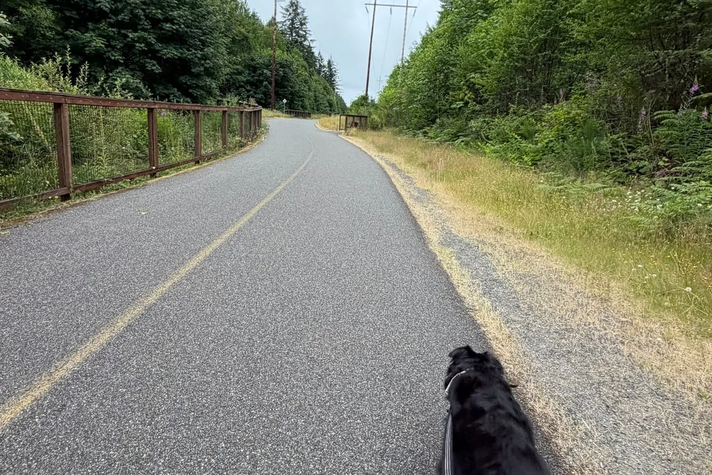 Gig Harbor Waterfront — scene 10