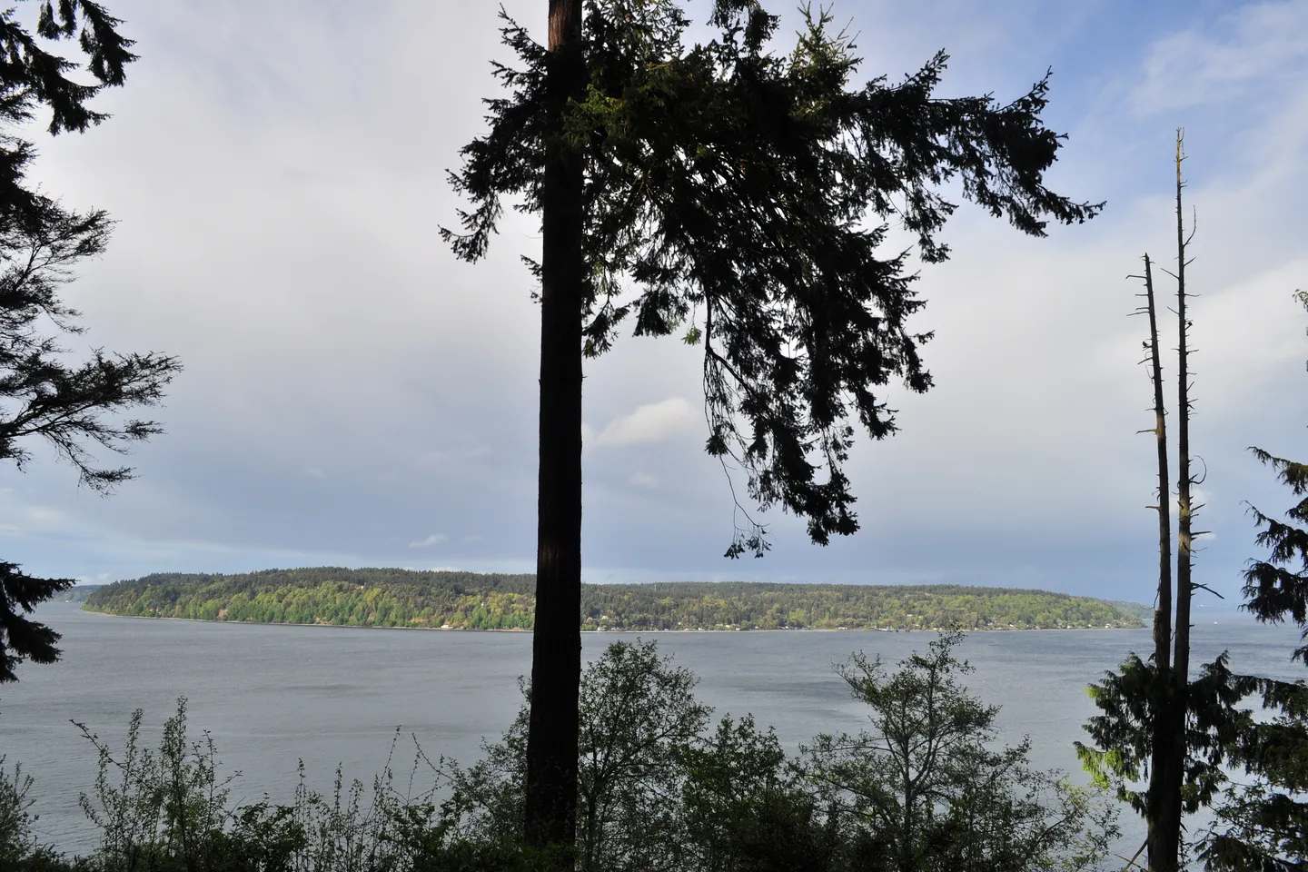 Point Defiance + Owen Beach — scene 2