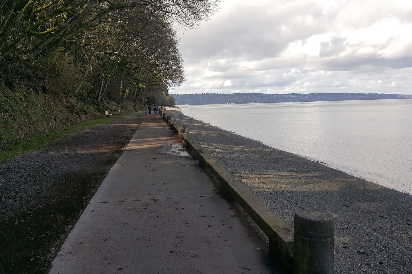 Point Defiance + Owen Beach — scene 3