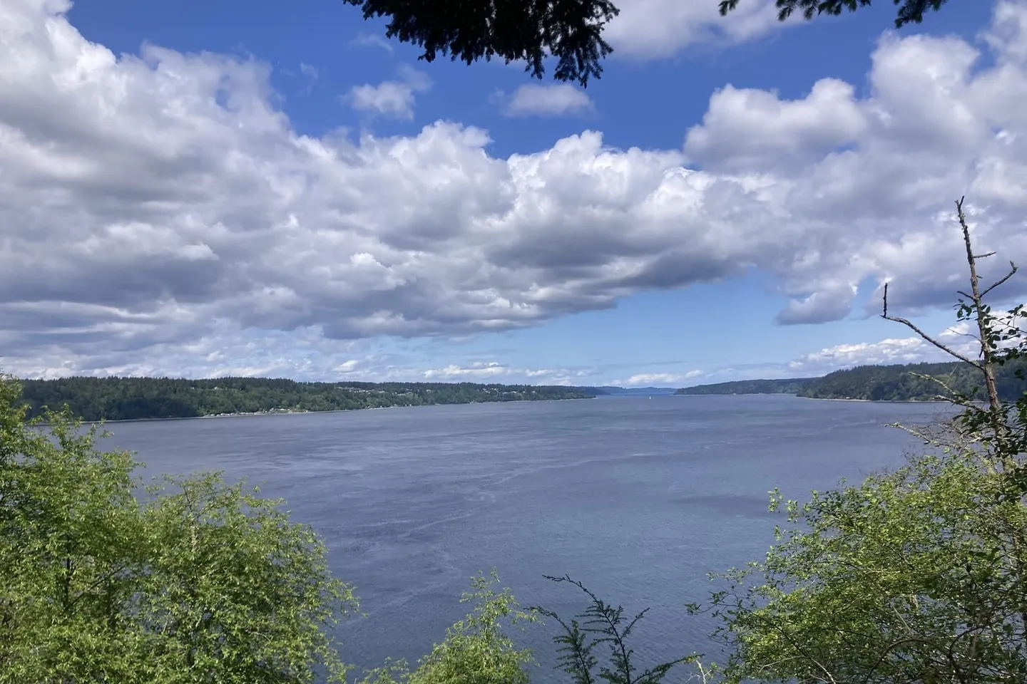 Point Defiance + Owen Beach — scene 6