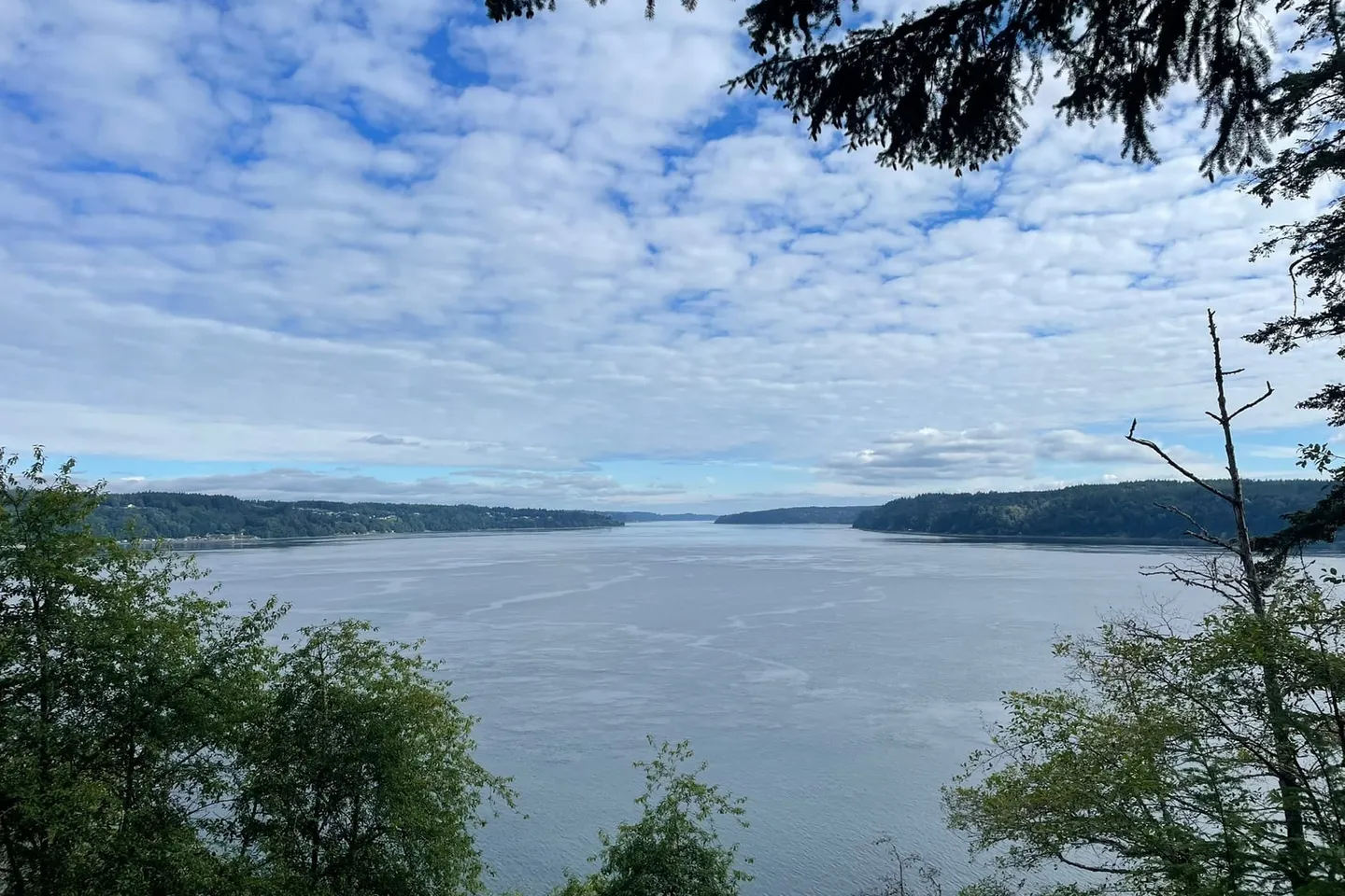 Point Defiance + Owen Beach — scene 9