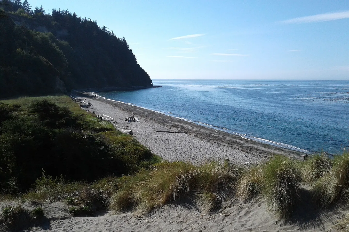 Driftwood shoreline below the bluffs near Fort Worden