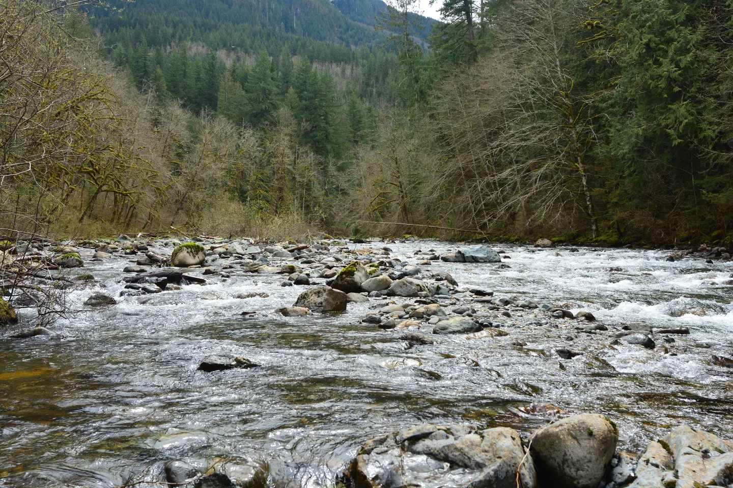 Snoqualmie Falls + Twin Falls — scene 8