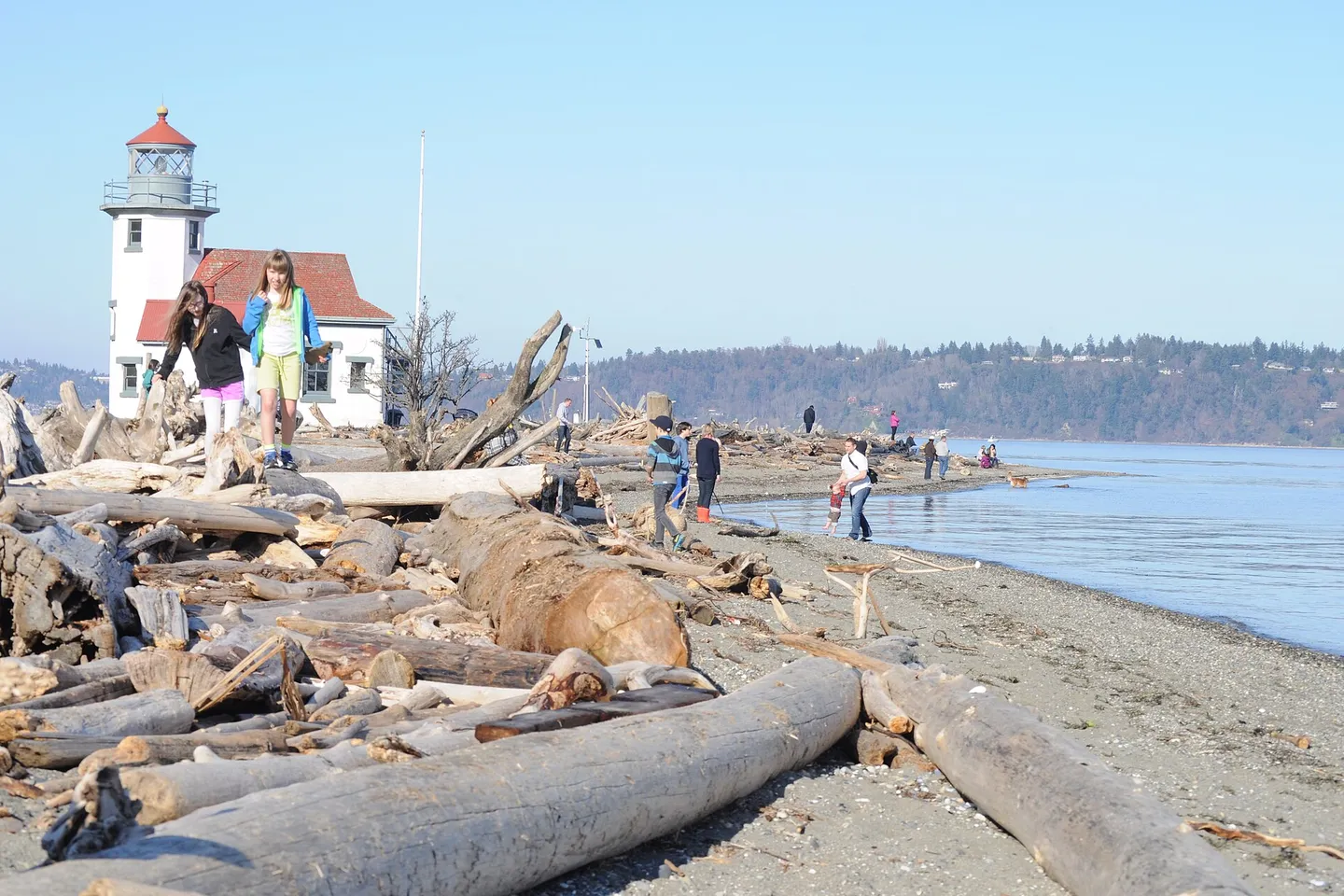 Vashon Island + Point Robinson — scene 2