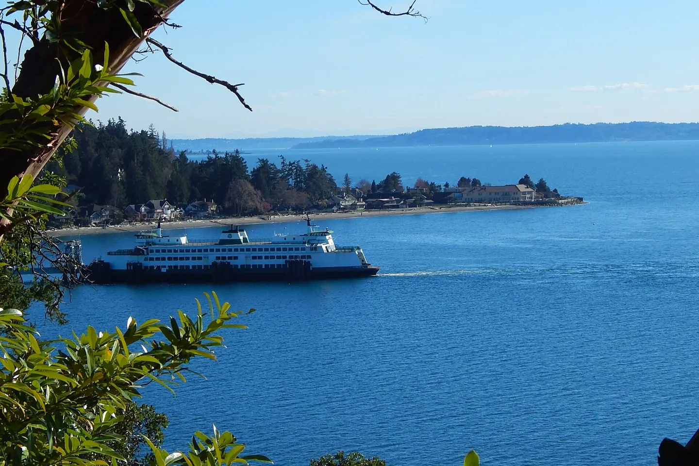 Vashon Island + Point Robinson — scene 4