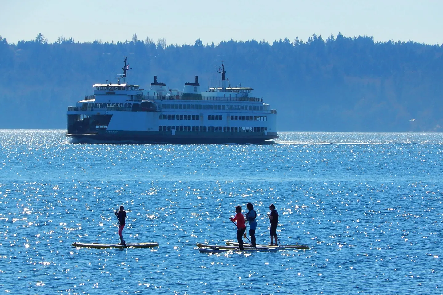 Vashon Island + Point Robinson — scene 5