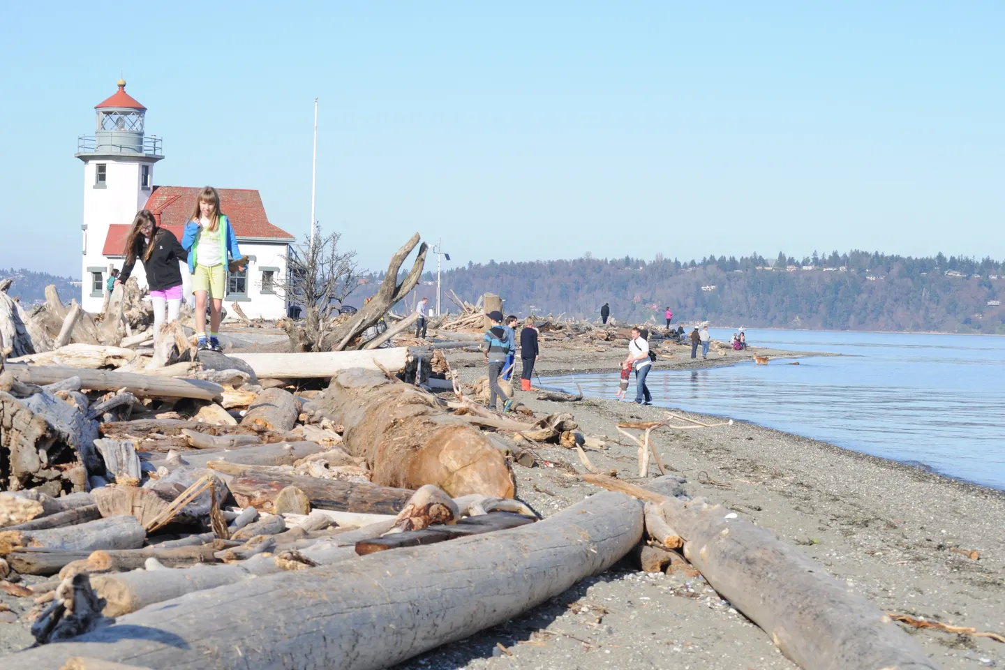 Vashon Island + Point Robinson — scene 6