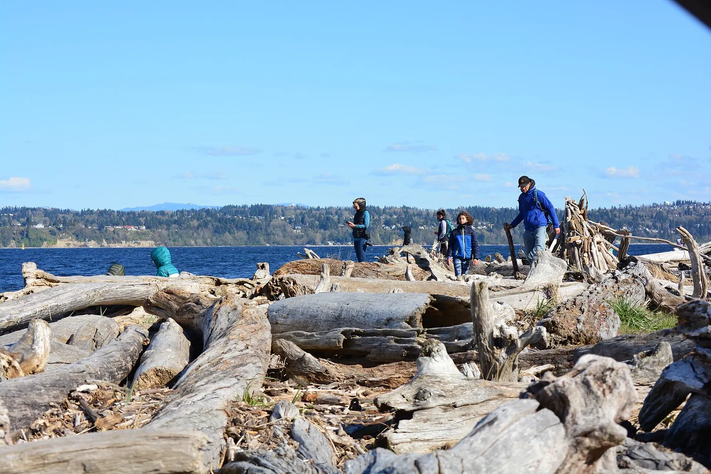 Vashon Island + Point Robinson — scene 7
