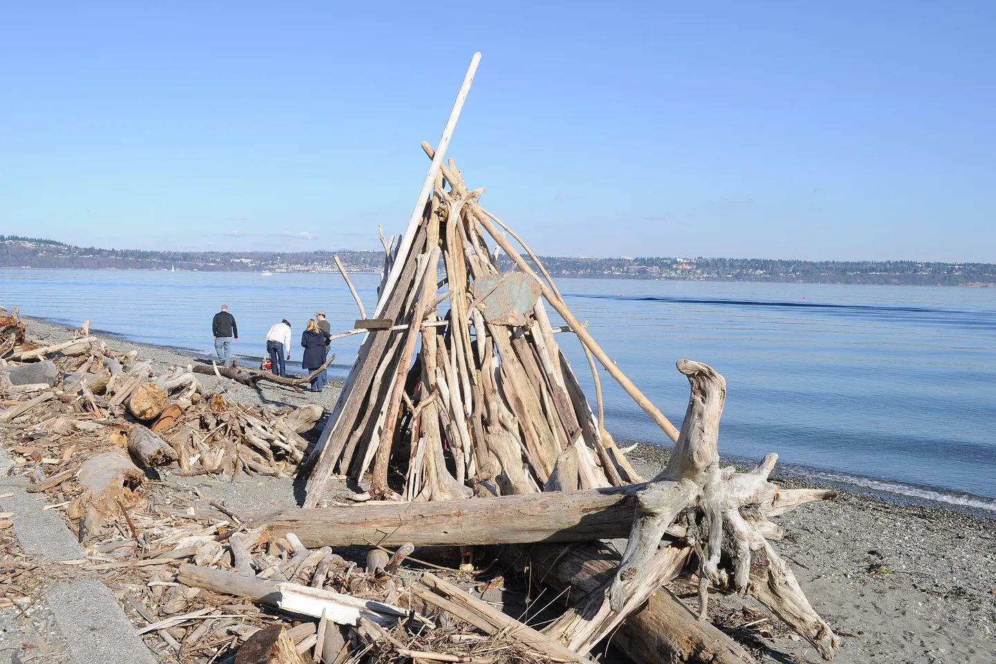 Vashon Island + Point Robinson — scene 8