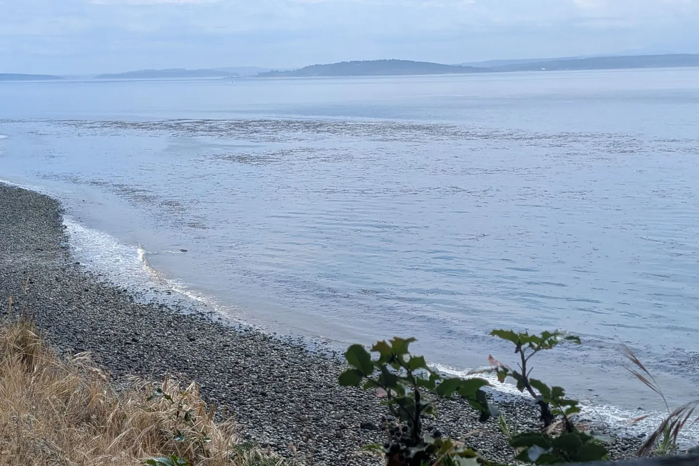 Whidbey Island → Deception Pass — scene 10