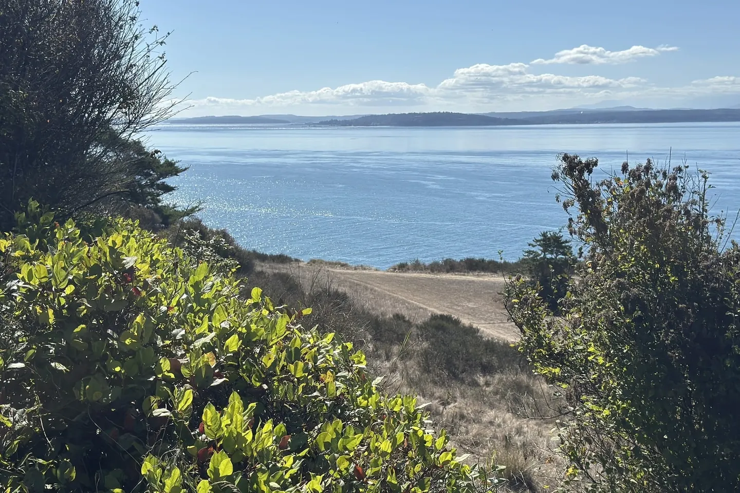 Whidbey Island → Deception Pass — scene 7